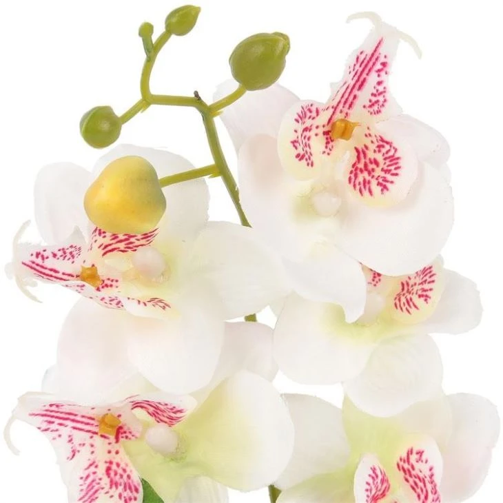 White Artificial Orchid Flowers Butterfly Orchid Plants