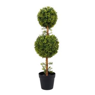 Gervi gras Boxwood trjáplöntur